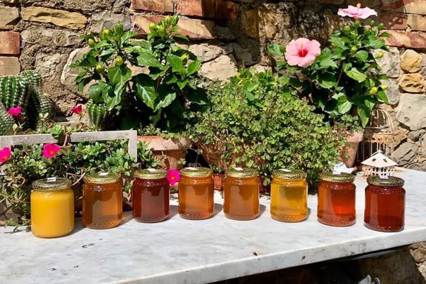 Azienda Agricola il Grifone - Miele