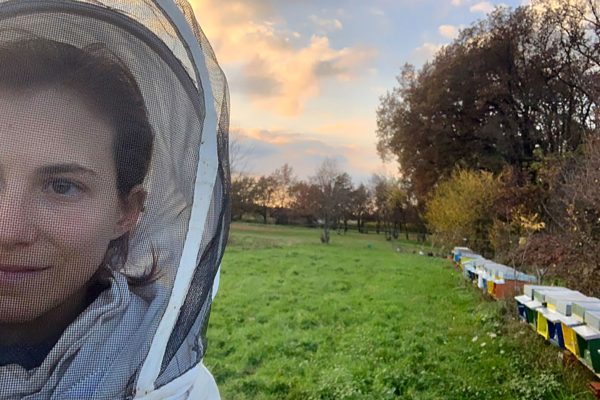 Azienda Agricola il Grifone - Apicoltura